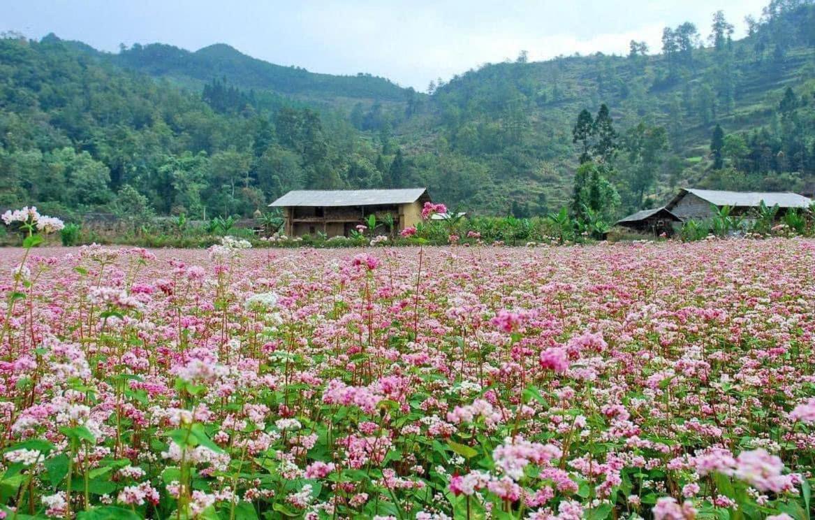 Thuy Anh Hotel Ha Giang Eksteriør bilde