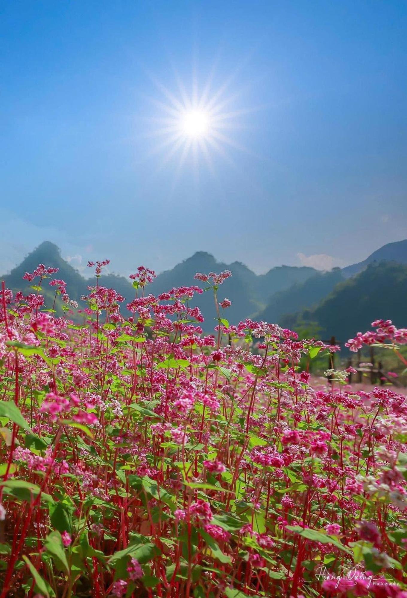 Thuy Anh Hotel Ha Giang Eksteriør bilde